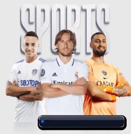 fiber-crownsports.com.cn APP