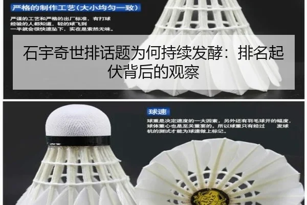 shi-yu-qi-shi-pai-hua-ti-wei-he-chi-xu-fa-jiao-pai-ming-qi-fu-bei-hou-de-guan-cha-2-251.jpg